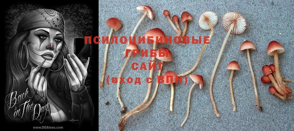 каннабис Дмитров