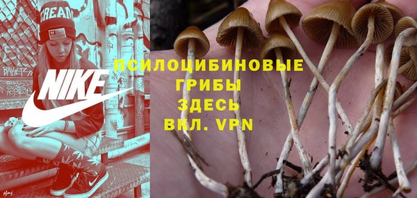 прущие крисы Дмитровск
