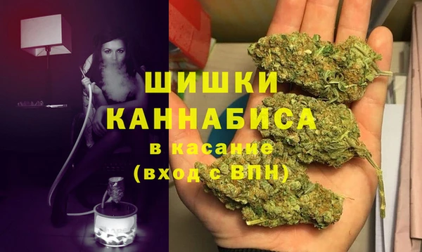 мдпв Елизово