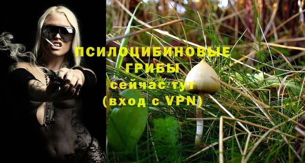каннабис Дмитров