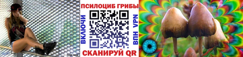 Купить  Каменногорск  Галлюциногенные грибы мухоморы 