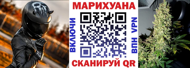 Купить  Каменногорск  Каннабис сатива 